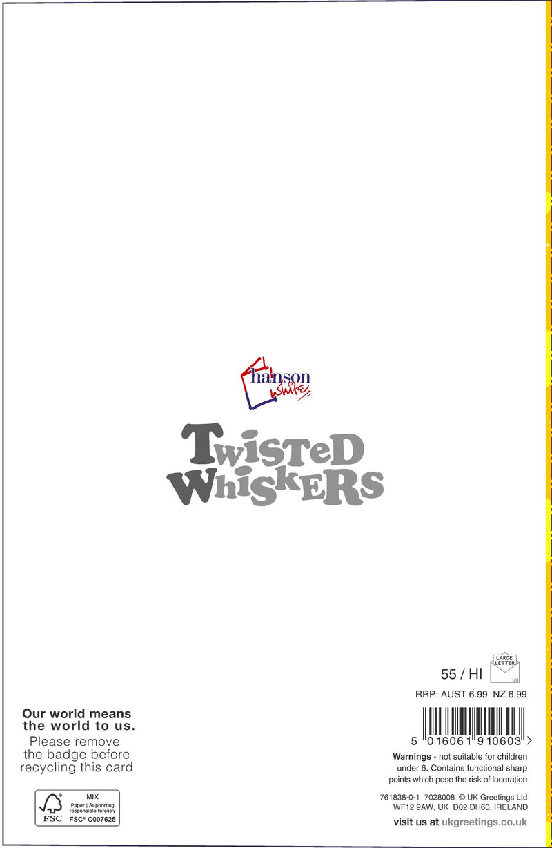 Hanson | Birthday Card 9 Year Boy Juv | Happy Birthday Gifts | With Envelope