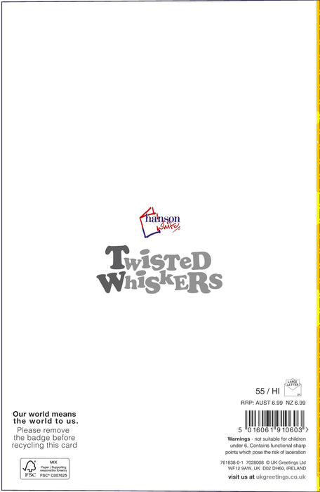 Hanson | Birthday Card 9 Year Boy Juv | Happy Birthday Gifts | With Envelope