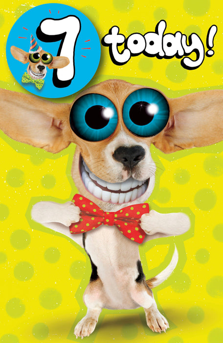 Twisted Whiskers | 7th Birthday Card | Juvenile Design | With Envelope