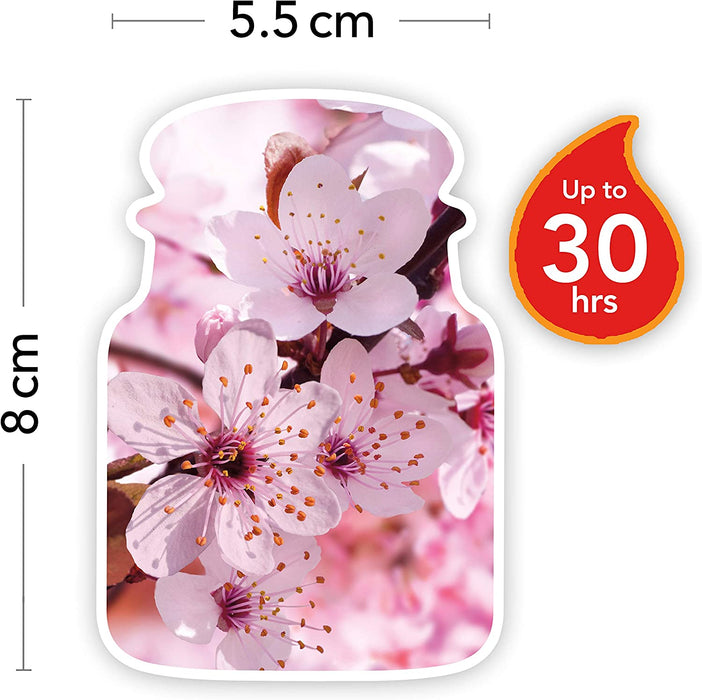 Yankee Candle cherry Blossom Small Jar Candle 104g