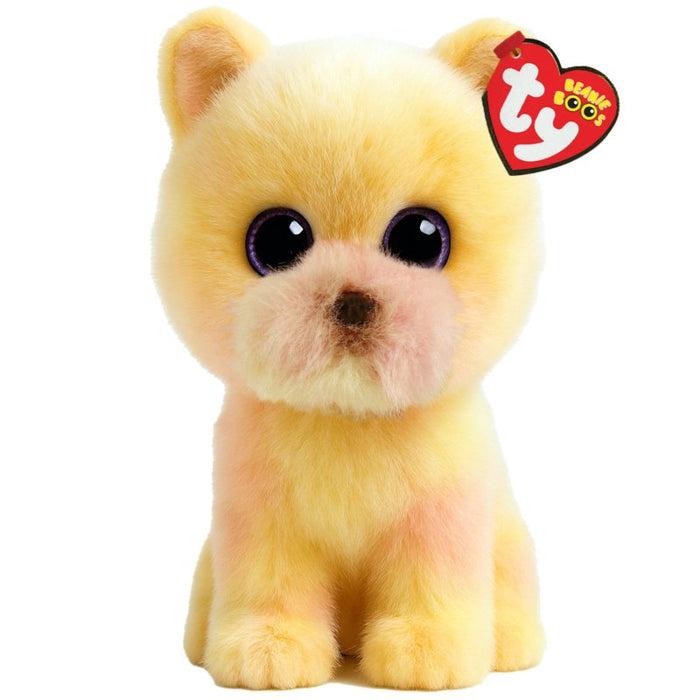 Ty Beanie Boos Regular - Palmer the Pomeranian soft toy