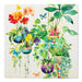 Bug Art Portfolio Coaster Hanging Plants