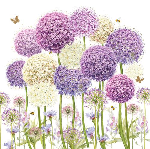 Birthday Card for Friend or Relative – Beautiful Allium Flower Illustrations