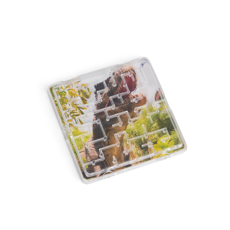 6Pk Dinosaur Mini Mazes