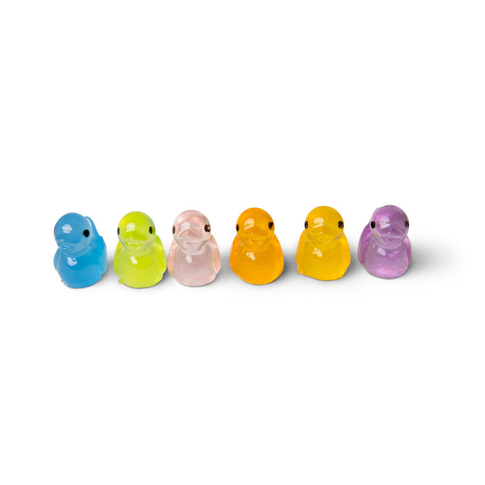 24Pk Dinky Charms