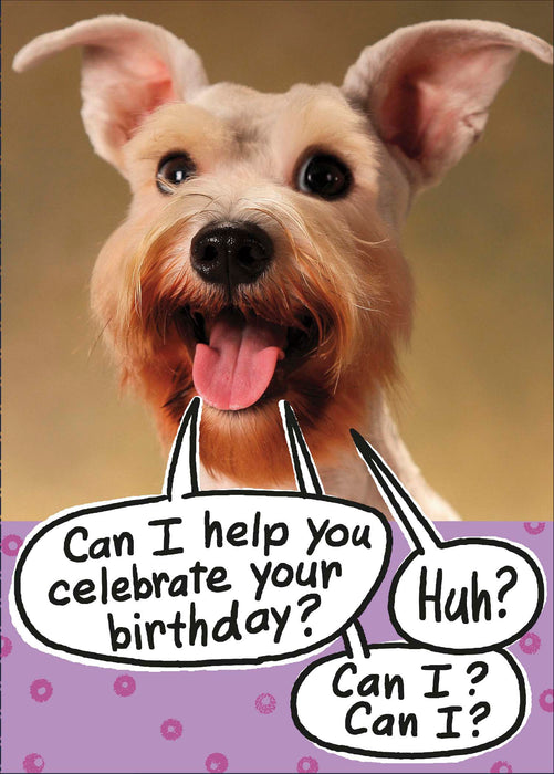Birthday Humour Greeting Card From RPG Recycled Paper Group Humour 553789 HM143
