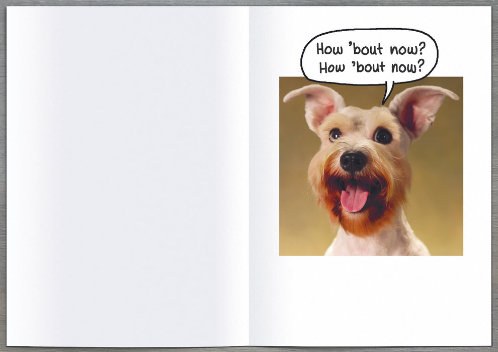 Birthday Humour Greeting Card From RPG Recycled Paper Group Humour 553789 HM143