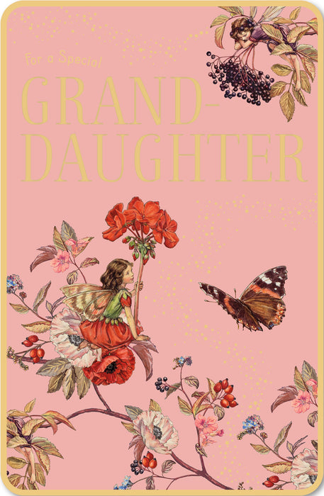 Birthday Granddaughter Greeting Card From Flower Fairies Traditional 661301 E852