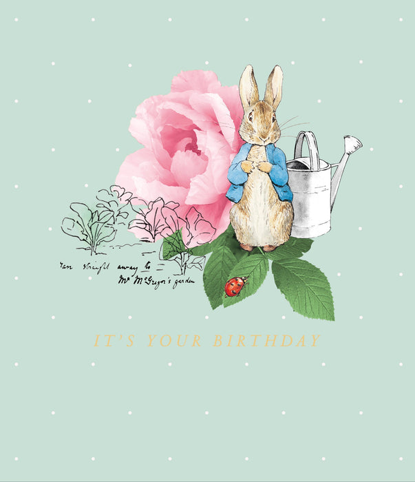Birthday Greeting Card From Peter Rabbit Juvenile 739914 SD515