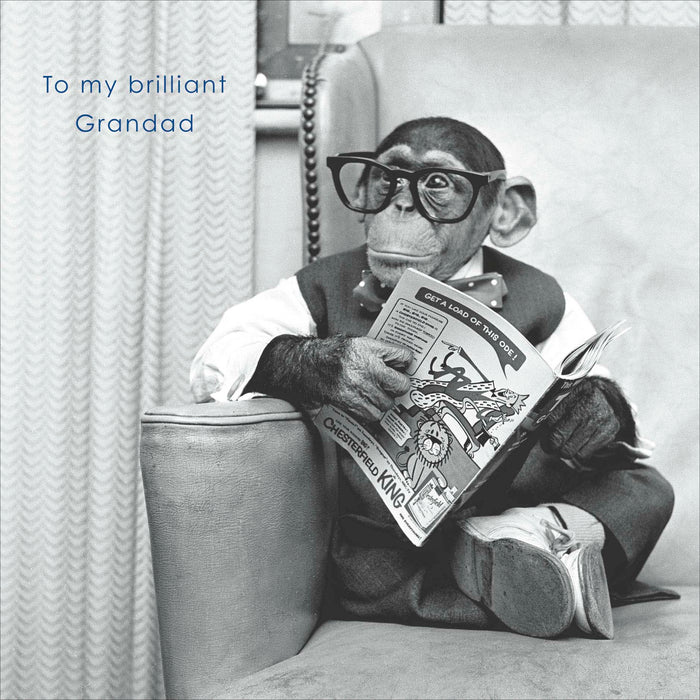 Birthday Grandad Greeting Card From Camden Photographic Photographic 744132 F323