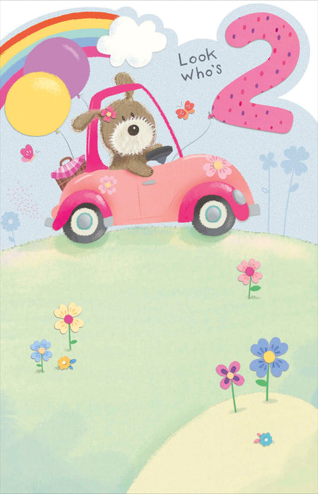 Birthday 2nd Girl Greeting Card From Lots of Woof Cute 760867 G13