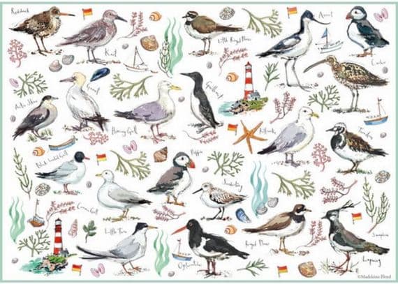 500 Piece Jigsaw Puzzle - Madeleine Floyd Seabirds
