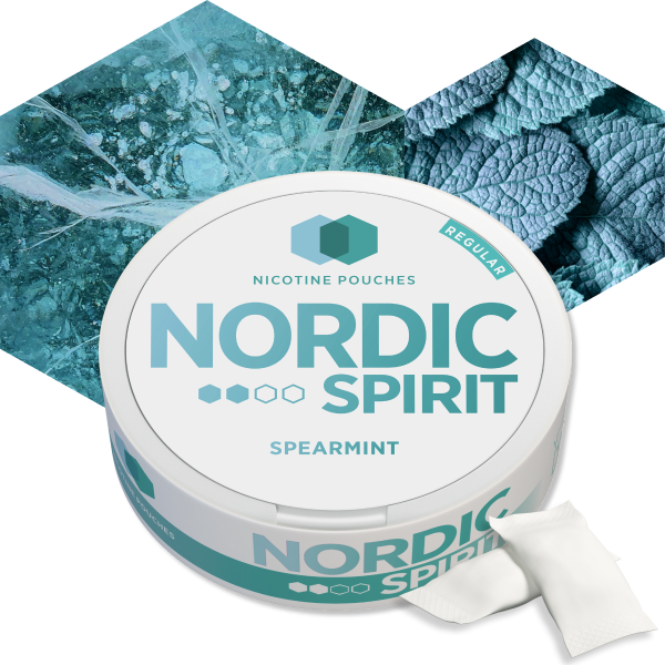 NORDIC SPIRIT Spearmint Nicotine Pouches - Regular